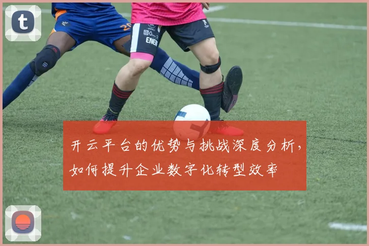 开云平台的优势与挑战深度分析，如何提升企业数字化转型效率
